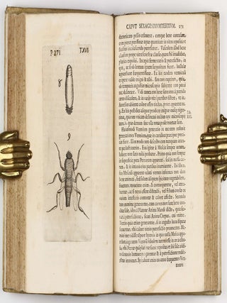 Observationes circa Viventia, quae in rebus non Viventibus reperiuntur. Cum Micrographia curiosa.