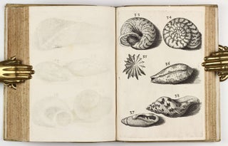Observationes circa Viventia, quae in rebus non Viventibus reperiuntur. Cum Micrographia curiosa.