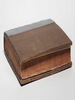 De fermentatione liber physico-medicus. Cui de inseparabiltate formarum materialium & vita singularia sunt innexa. Omni perpetuis experimentis firmata.
