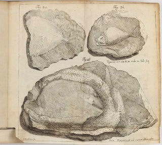 Miscellanea Berolinensia ad icrementum scientiarum ex scriptis Societati Regiae Scientiarum Exhibitis edita...