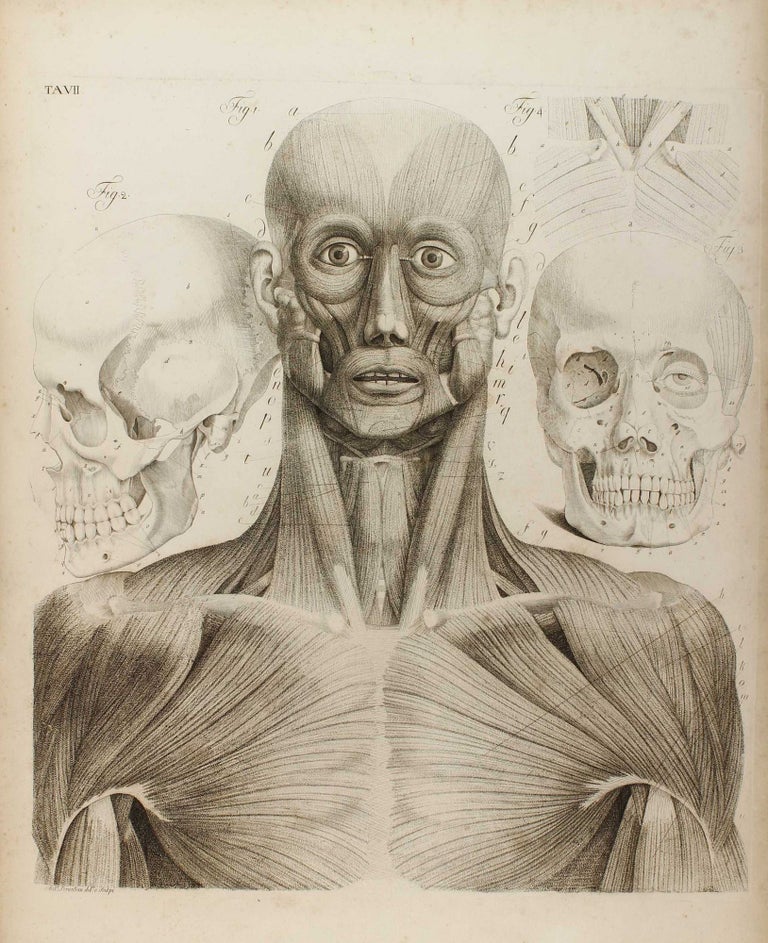 Item #003082 Anatomia per uso degli studiosi di scultura e pittura. Opera postuma. Paolo MASCAGNI.