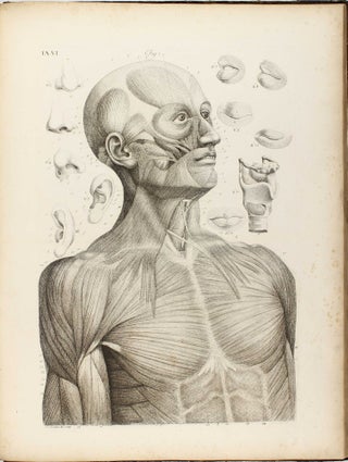 Anatomia per uso degli studiosi di scultura e pittura. Opera postuma.