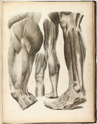 Anatomia per uso degli studiosi di scultura e pittura. Opera postuma.