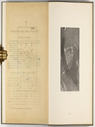Joh. Nep. Krieger's Mond-Atlas, nach seinen an der Pia-Sternwarte in Triest angestellten Beobachtungen unter Zugrundelegung der hinterlassenen Zeichnungen und Skizzen.