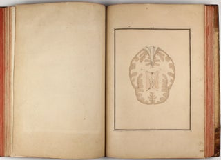 Traité d'anatomie et de physiologie, avec des planches coloriées représentant au naturel les divers organes de l'homme et des animaux.