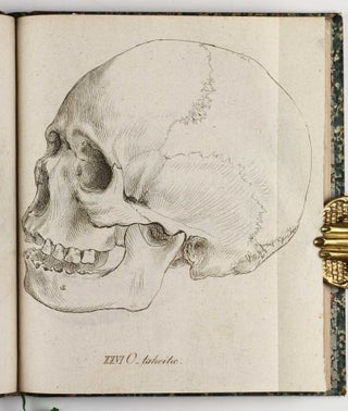 Decas collectionis suae craniorum diversarum gentium illustrata - [prima - sexta, nova pentas].