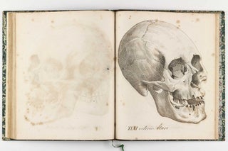 Decas collectionis suae craniorum diversarum gentium illustrata - [prima - sexta, nova pentas].