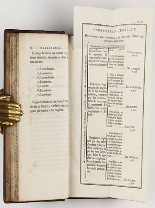 Systême des animaux sans vertèbres, ou tableau général des classes, des ordres et des genres de ces animaux.