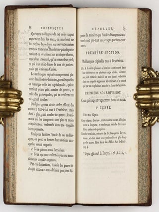 Systême des animaux sans vertèbres, ou tableau général des classes, des ordres et des genres de ces animaux.