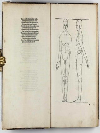 De Symmetria partium in rectis formis humanorum corporum libri in latinium conversi / De Varietate figurarum et flexuris partium ac gestibus imaginum libro duo.