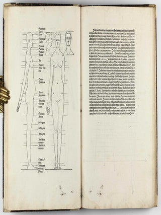 De Symmetria partium in rectis formis humanorum corporum libri in latinium conversi / De Varietate figurarum et flexuris partium ac gestibus imaginum libro duo.