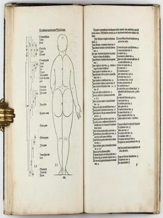 De Symmetria partium in rectis formis humanorum corporum libri in latinium conversi / De Varietate figurarum et flexuris partium ac gestibus imaginum libro duo.