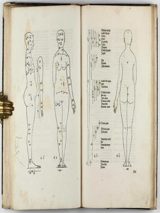 De Symmetria partium in rectis formis humanorum corporum libri in latinium conversi / De Varietate figurarum et flexuris partium ac gestibus imaginum libro duo.