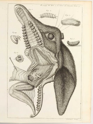 Mémoires pour servir à l'histoire des insectes.