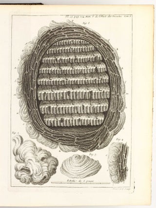 Mémoires pour servir à l'histoire des insectes.