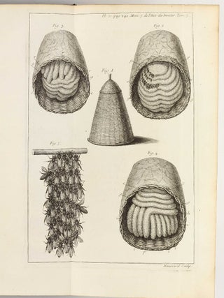 Mémoires pour servir à l'histoire des insectes.