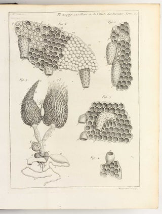 Mémoires pour servir à l'histoire des insectes.