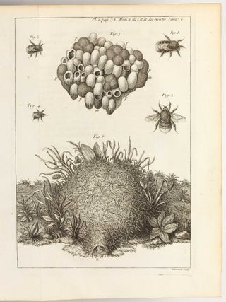 Mémoires pour servir à l'histoire des insectes.