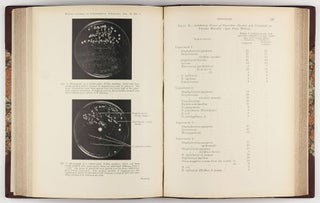 On the Antibacterial Action of Cultures of a Penicillium, with Special Reference to Their use in the Isolation of B. Influenzae. In: The British Journal of Experimental Pathology (eds. DODDS, E.C. DRUMMOND, JC. et al.), vol. 10, pp. 226-36, 1 plate.