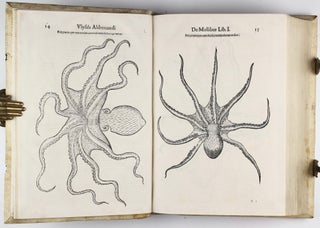 De reliquis animalibus exanguibus libri quatuor, post mortem eius editi: nempe de mollibus, crustaceis, testaceis et zoophytis.