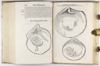 De reliquis animalibus exanguibus libri quatuor, post mortem eius editi: nempe de mollibus, crustaceis, testaceis et zoophytis.