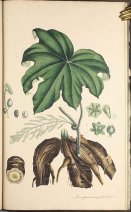 Plantae medicinales [officinales] oder Sammlung officineller Pflanzen.