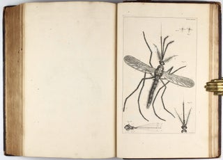 Bybel der Natuure ... of Historie der Insecten. Verrykt met ontelbaare waarnemingen van nooit ontdekte zeldzaamheden in de natuur / Biblia Naturae; sive Historia Insectorum ...