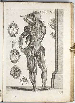 Tabulae anatomicae ... delineatae ... et a cajetano Petrioli Romano ... notis Illustratae.