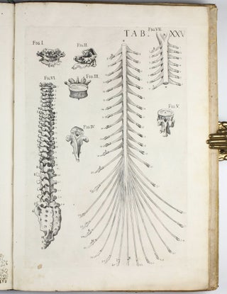 Tabulae anatomicae ... delineatae ... et a cajetano Petrioli Romano ... notis Illustratae.