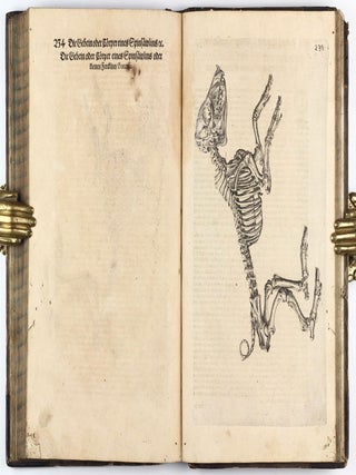 Anatomia, das ist sinnreiche, künstliche, begründete Auffschneidung, Theilung, unnd Zerlegung eines vollkommenen menschlichen Leibs und Cörpers, durch alle desselbigen jnnerliche und eusserliche Gliedtmassen und Gefäss, so wol mit eygendtlicher Beschreibung erkläret, als mit lebendigen Contrafacturen fürgebildet . . .