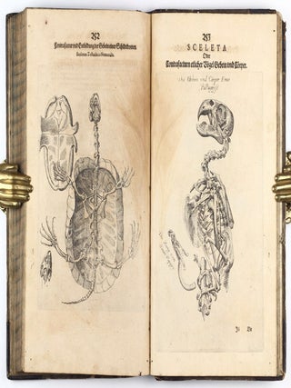Anatomia, das ist sinnreiche, künstliche, begründete Auffschneidung, Theilung, unnd Zerlegung eines vollkommenen menschlichen Leibs und Cörpers, durch alle desselbigen jnnerliche und eusserliche Gliedtmassen und Gefäss, so wol mit eygendtlicher Beschreibung erkläret, als mit lebendigen Contrafacturen fürgebildet . . .