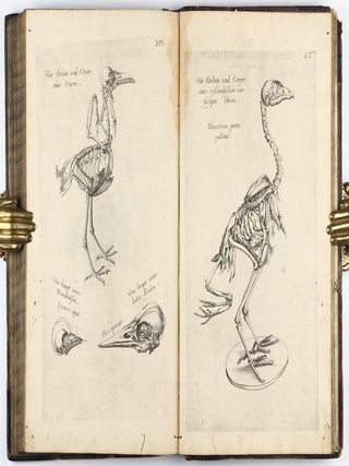 Anatomia, das ist sinnreiche, künstliche, begründete Auffschneidung, Theilung, unnd Zerlegung eines vollkommenen menschlichen Leibs und Cörpers, durch alle desselbigen jnnerliche und eusserliche Gliedtmassen und Gefäss, so wol mit eygendtlicher Beschreibung erkläret, als mit lebendigen Contrafacturen fürgebildet . . .