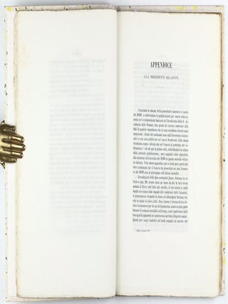 Memoria sullo incendio vesuviano del mese di maggio 1855.