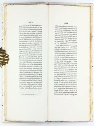 Memoria sullo incendio vesuviano del mese di maggio 1855.
