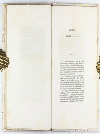 Memoria sullo incendio vesuviano del mese di maggio 1855.