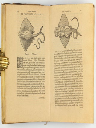 De venenis libri duo...
