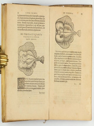 De venenis libri duo...
