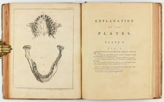 The natural history of the human teeth: explaining their structure, use, formation, growth, and diseases. - A practical treatise on the diseases of the teeth; intended as a supplement. . .