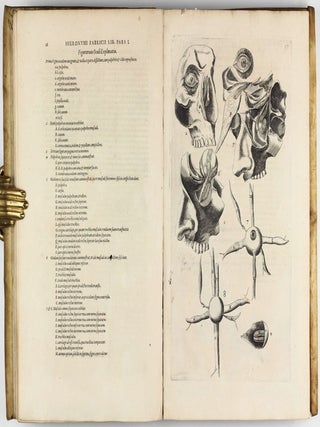 Tractatus Anatomicus Triplex : quorum primus De oculo, visus organo; secundus De aure, auditus organo; tertius De laringe, vocis organo admirandam tradit historiam, actiones, utilitates.