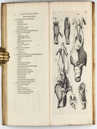 Tractatus Anatomicus Triplex : quorum primus De oculo, visus organo; secundus De aure, auditus organo; tertius De laringe, vocis organo admirandam tradit historiam, actiones, utilitates.