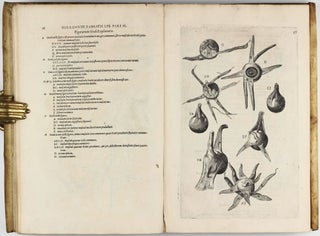 Tractatus Anatomicus Triplex : quorum primus De oculo, visus organo; secundus De aure, auditus organo; tertius De laringe, vocis organo admirandam tradit historiam, actiones, utilitates.
