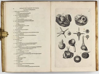 Tractatus Anatomicus Triplex : quorum primus De oculo, visus organo; secundus De aure, auditus organo; tertius De laringe, vocis organo admirandam tradit historiam, actiones, utilitates.