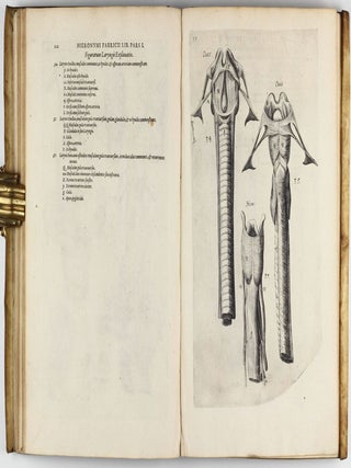 Tractatus Anatomicus Triplex : quorum primus De oculo, visus organo; secundus De aure, auditus organo; tertius De laringe, vocis organo admirandam tradit historiam, actiones, utilitates.