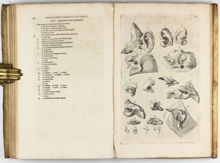 Tractatus Anatomicus Triplex : quorum primus De oculo, visus organo; secundus De aure, auditus organo; tertius De laringe, vocis organo admirandam tradit historiam, actiones, utilitates.
