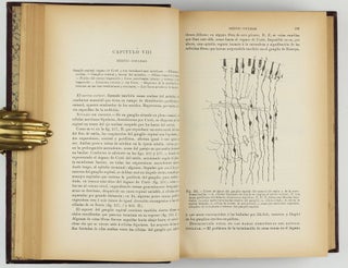 Textura del sistema nervioso del hombre y de los vertebrados.