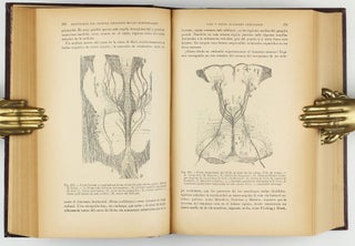 Textura del sistema nervioso del hombre y de los vertebrados.