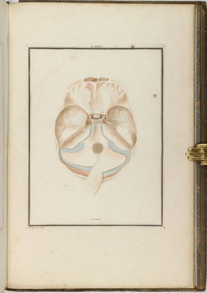 Traité d'anatomie et de physiologie, avec des planches coloriées représentant au naturel les divers organes de l'homme et des animaux.