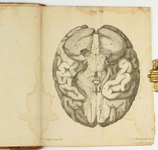 Anatomisch-Physiologische Abhandlung vom Gehirn, Rückmark, und Ursprung der Nerven. Für Aerzte, und Liebhaber der Anthropologie bestimmt.