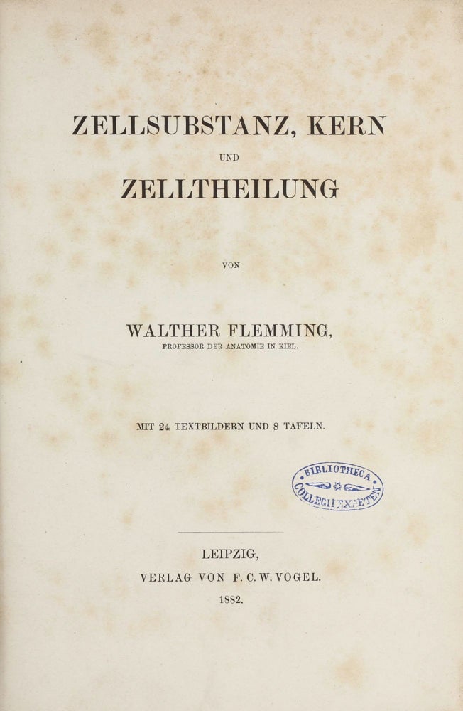 Item #003522 Zellsubstanz, Kern und Zelltheilung. Walther FLEMMING.
