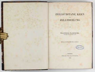 Zellsubstanz, Kern und Zelltheilung.